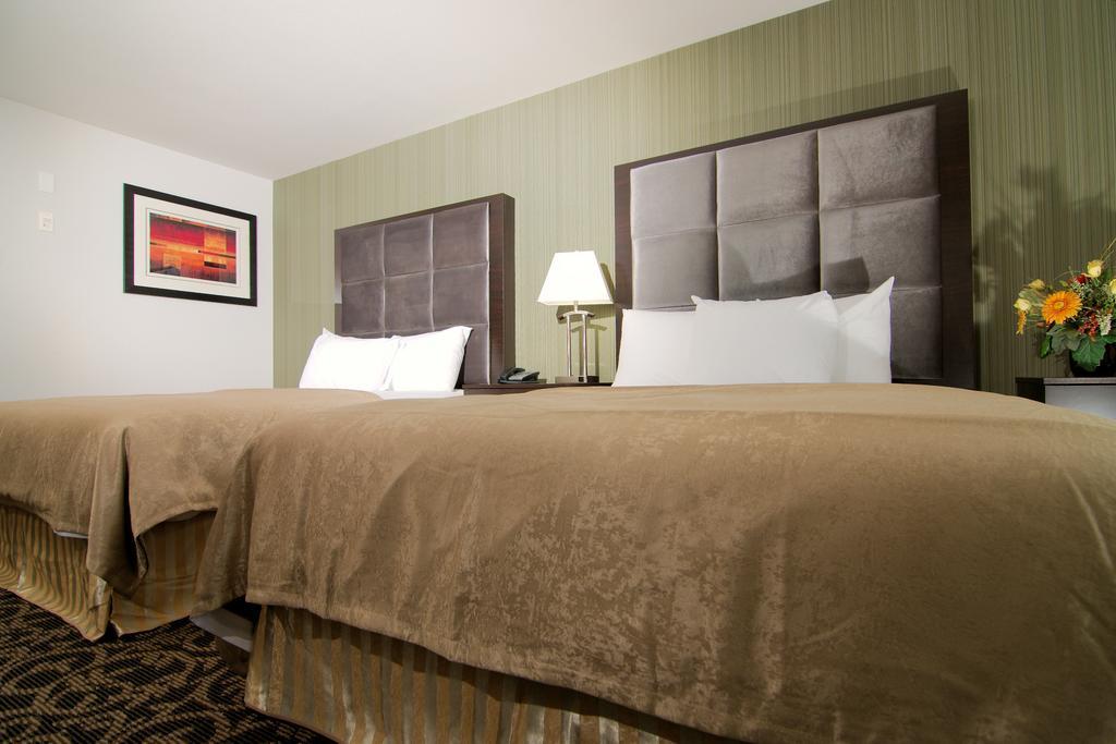 Paradise Inn And Suites Redwater Szoba fotó